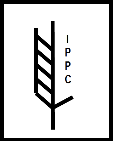 IPPC ISPM 15 zertifiziert – Wupper-Paletten GmbH